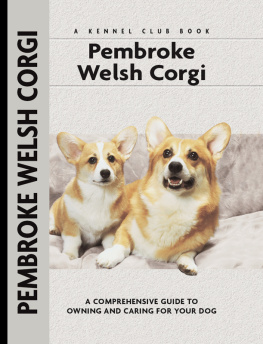 Burton Pembroke Welsh Corgi