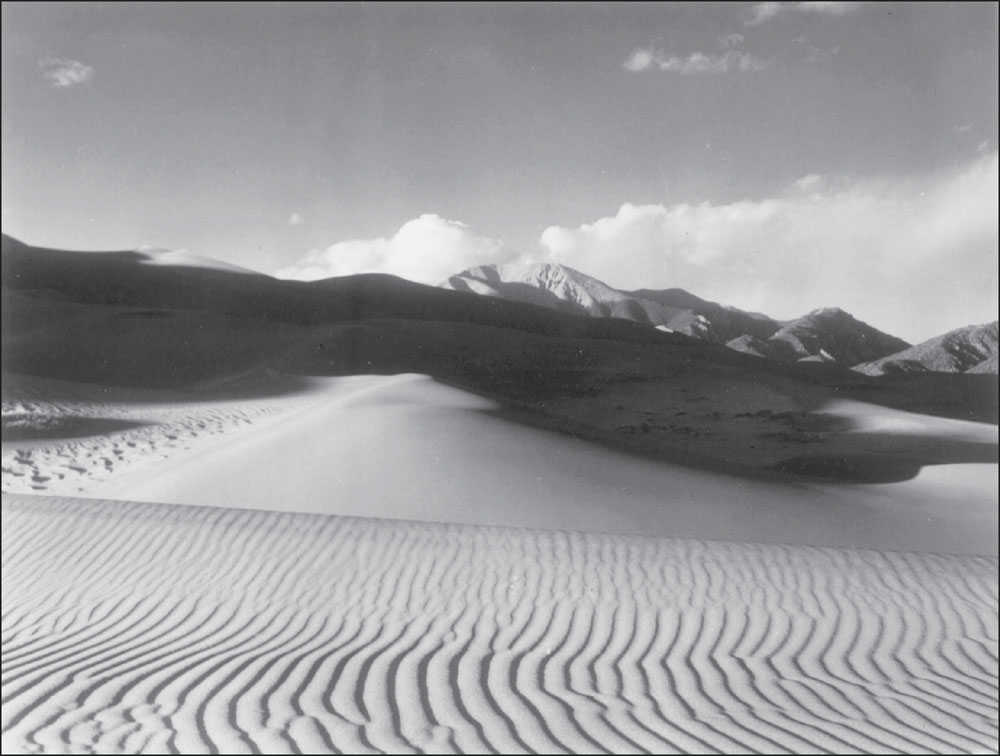 RIPPLES ON THE DUNES Wind has created these rows of ripple marks forming the - photo 2