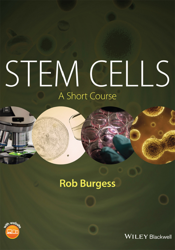 STEM CELLS A Short Course Rob Burgess Copyright 2016 by John Wiley - photo 1