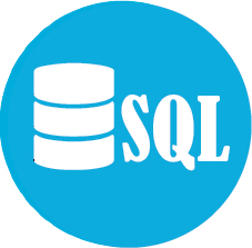 A programming language pronounced either S-Q-L or sequel designed to manage - photo 8