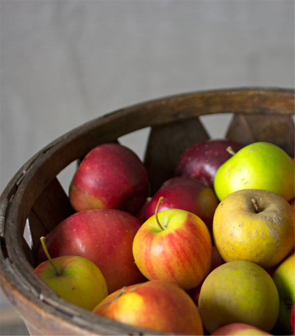 Contents Ive spent most of my life among apples trees in the Blue Ridge - photo 5