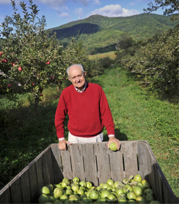 Ive spent most of my life among apples trees in the Blue Ridge Mountains of - photo 7