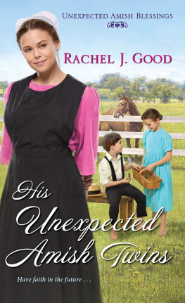 Rachel J. Good - His Unexpected Amish Twins