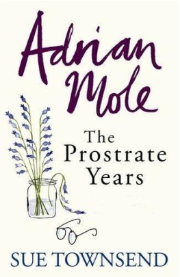 Sue Townsend - Adrian Mole: The Prostrate Years