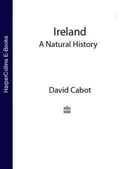 Cabot - Ireland