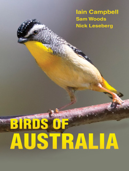 Campbell Iain - Birds of Australia