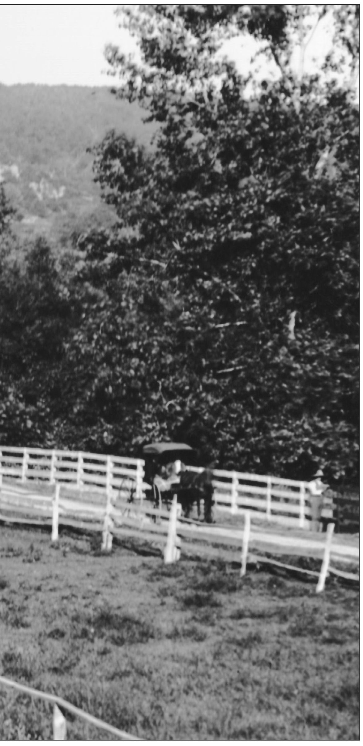 The Sheffield Upper Bridge which replaced a previous structure that was known - photo 5