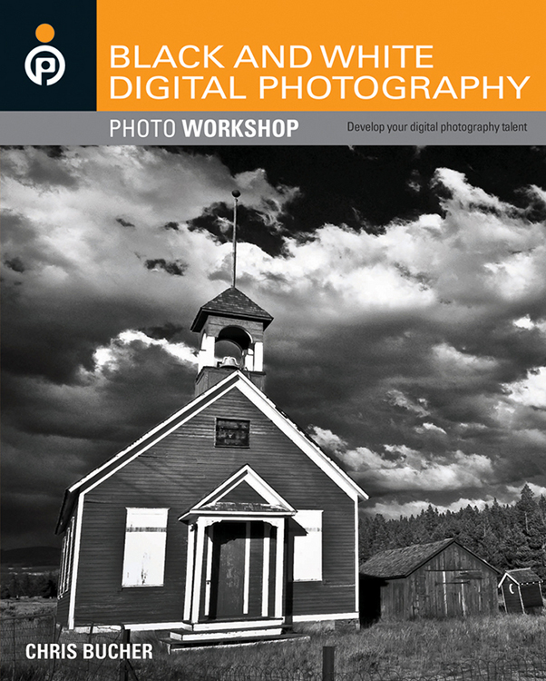 Black and White Digital Photography Photo Workshop by Chris Bucher Black - photo 1