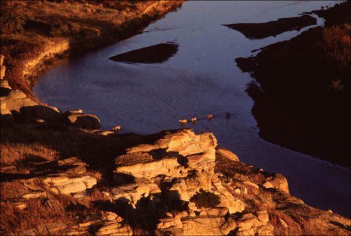 The magic of sunset turns the Milk River cliffs to gold Keeping as close - photo 2