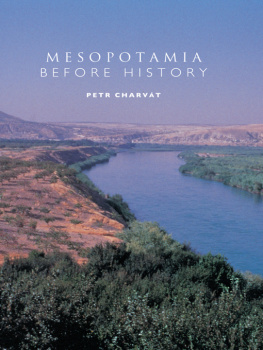 Charvát Mesopotamia Before History