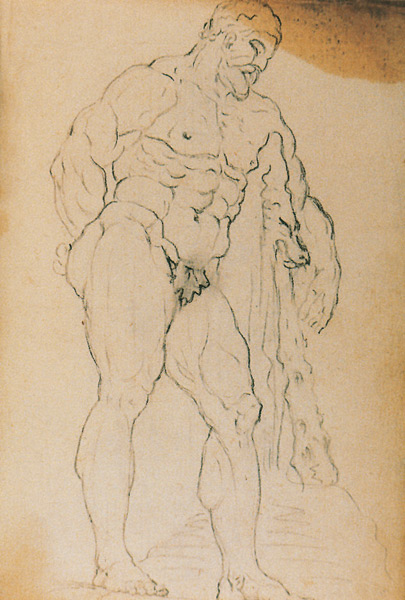 Farnese Hercules drawing from the Caduerno italiano Museo del Prado - photo 5