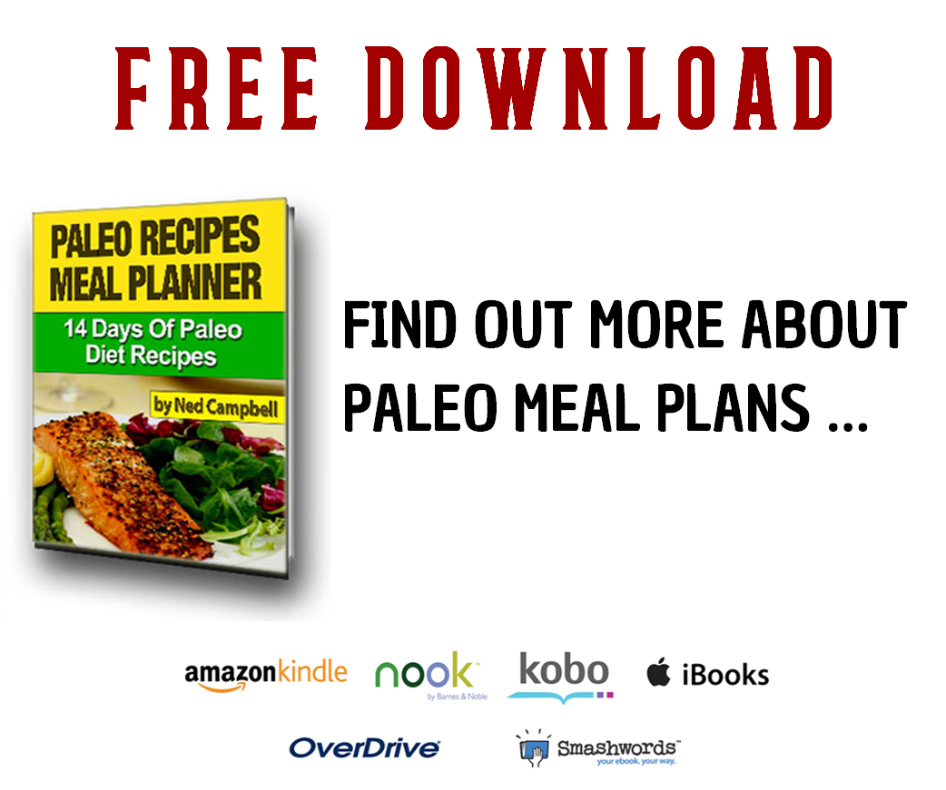 Sign up for the authors New PaleoRecipes mailing list and get a free copy of - photo 2