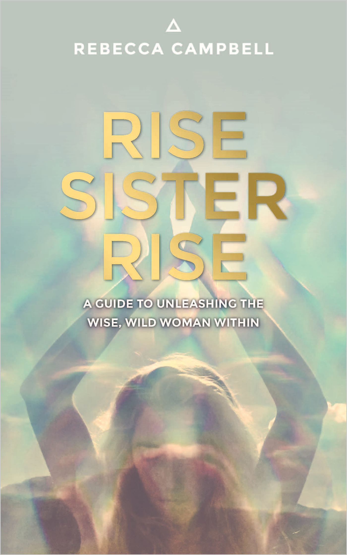 Praise for Rise Sister Rise Rise Sister Rise is an incantation an - photo 1