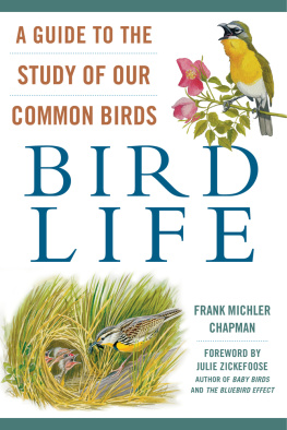 Chapman Frank Michler Bird life: a guide to the study of our common birds