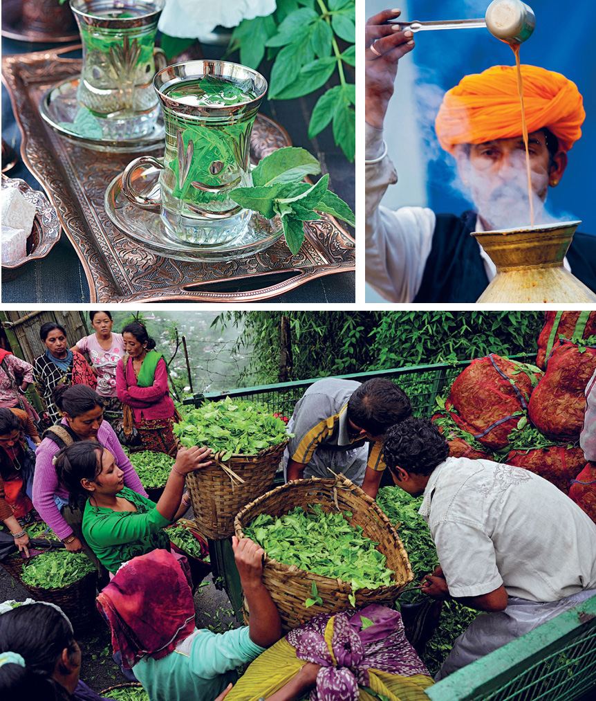 Top left Turkish mint tea top right Indian chai wallah bottom tea harvest - photo 6