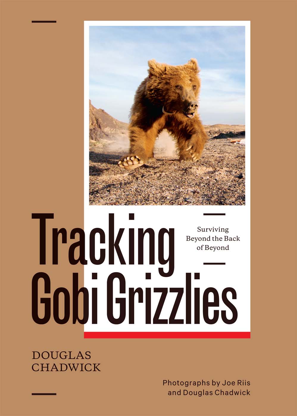 Tracking Gobi grizzlies surviving beyond the back of beyond - photo 1