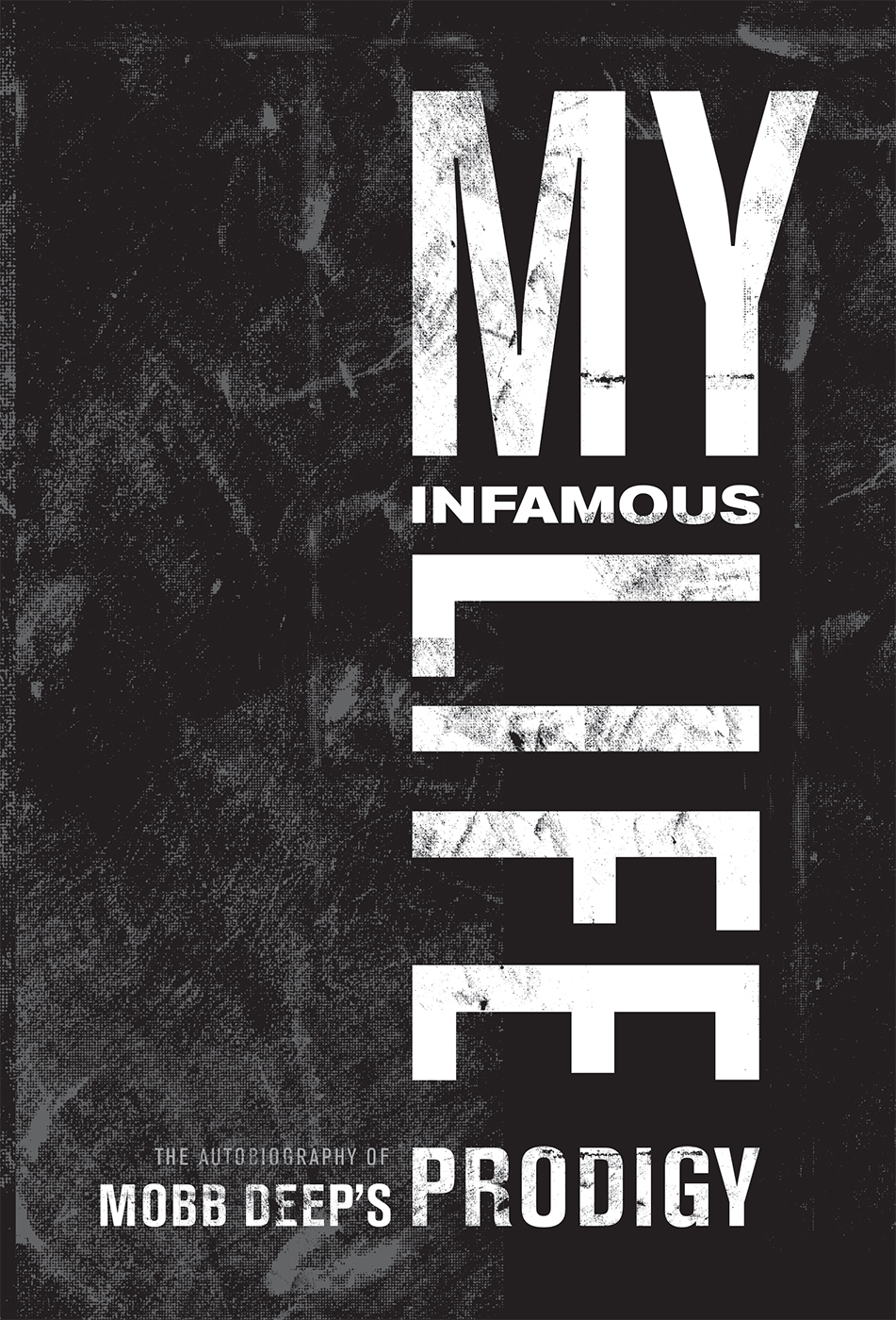 My infamous life the autobiography of Mobb Deeps Prodigy - image 10