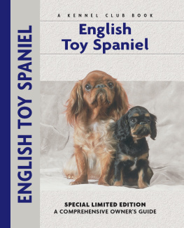 Chelsea Devon - English Toy Spaniel