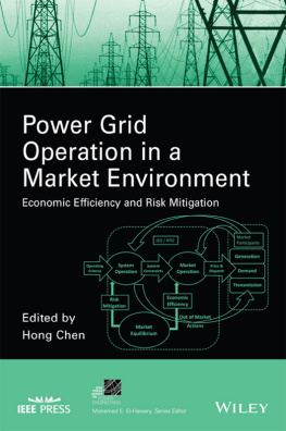 Chen - Power grid operation in a market environment: economic efficiency and risk mitigation