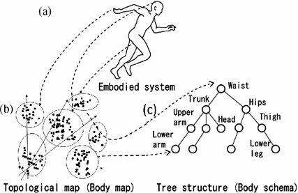 Fig 2 Overview of the proposed approach a Body map generation b Node - photo 2