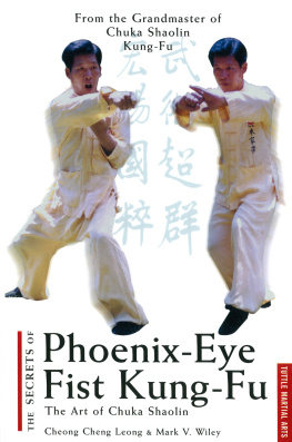 Cheong Cheng Leong - The secrets of phoenix eye fist Kung fu: the art of chuka shaolin