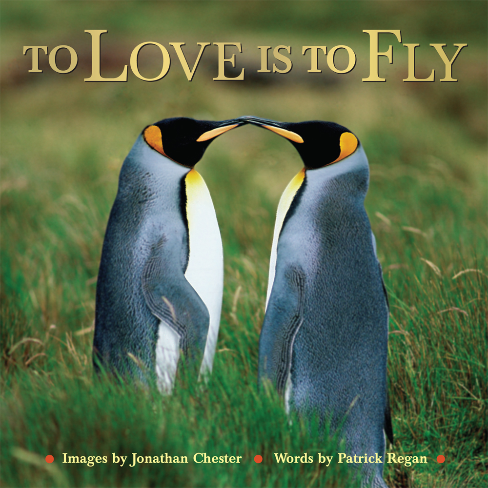 To Love is to Fly photos copyright 2009 by Jonathan Chester Text copyright - photo 1