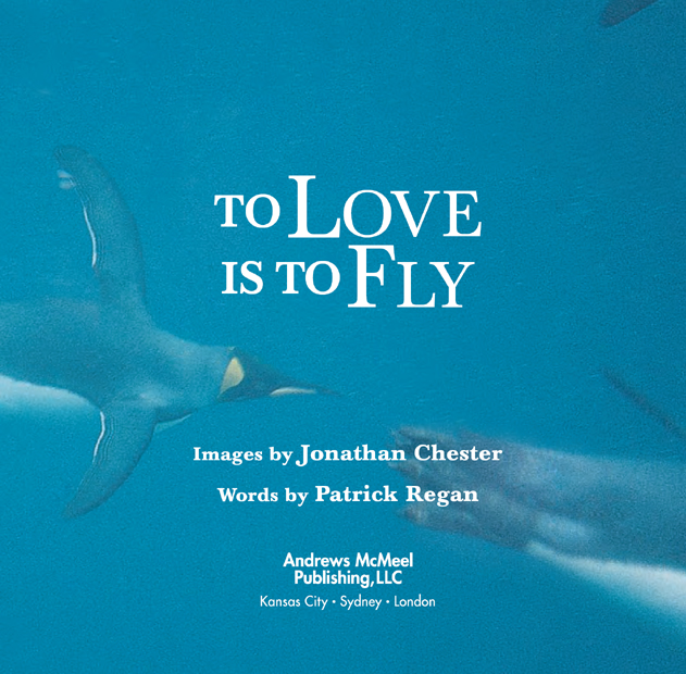 To Love is to Fly photos copyright 2009 by Jonathan Chester Text copyright - photo 3