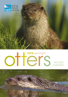 Chester RSPB Spotlight Otters