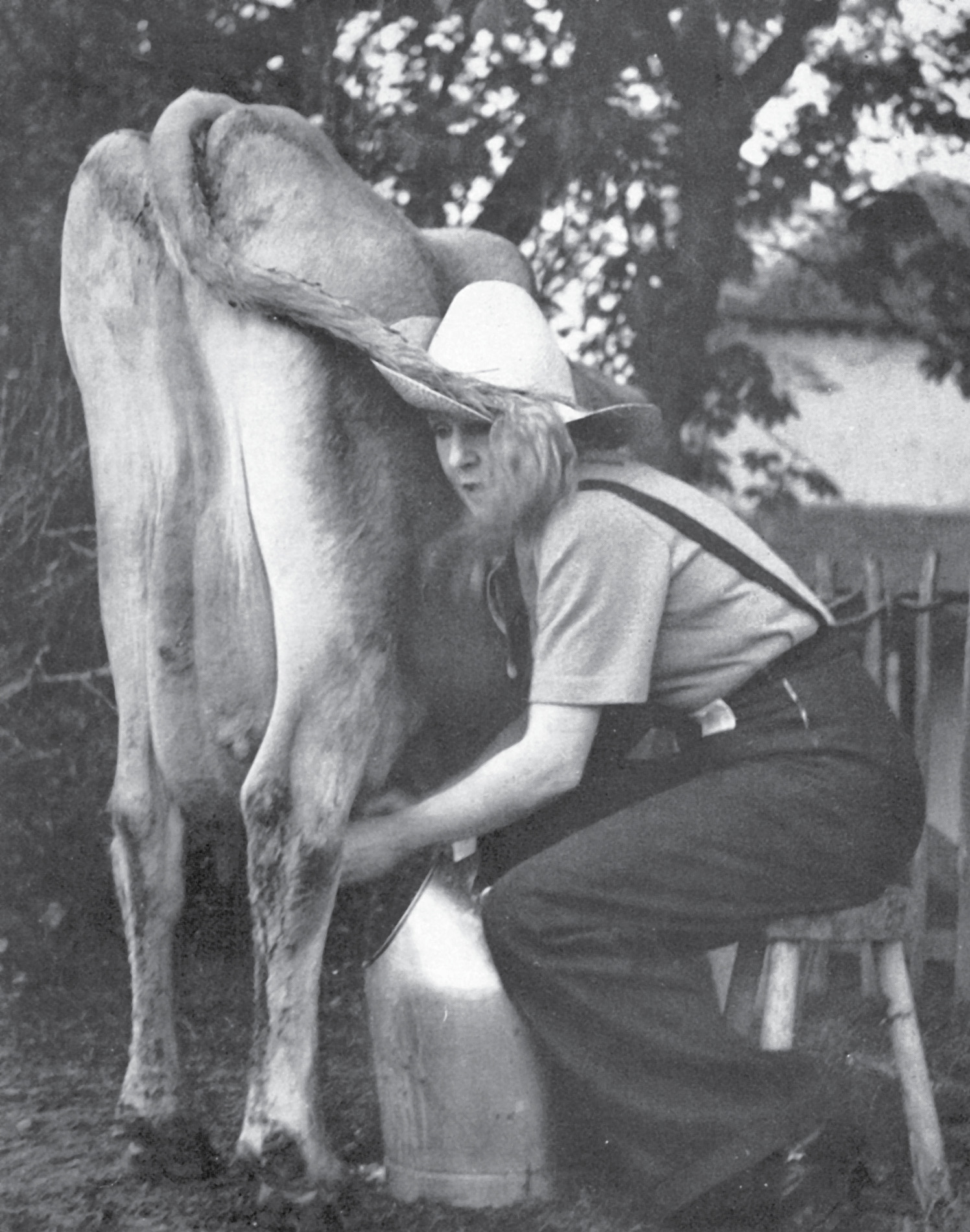 The Princess and the Dairymaid ABOUT THE AUTHOR Lady Diana Cooper was born on - photo 1