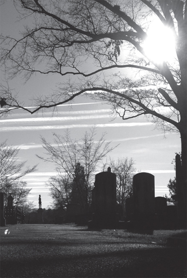 A statue of Stonewall Jackson stands over his gravesite in Lexington Virginia - photo 6