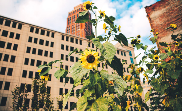 The act of gardening can be a great way to bring people together Those without - photo 6