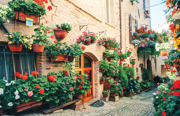 The streets of Spello are crammed full of flowers during the months of May and - photo 7