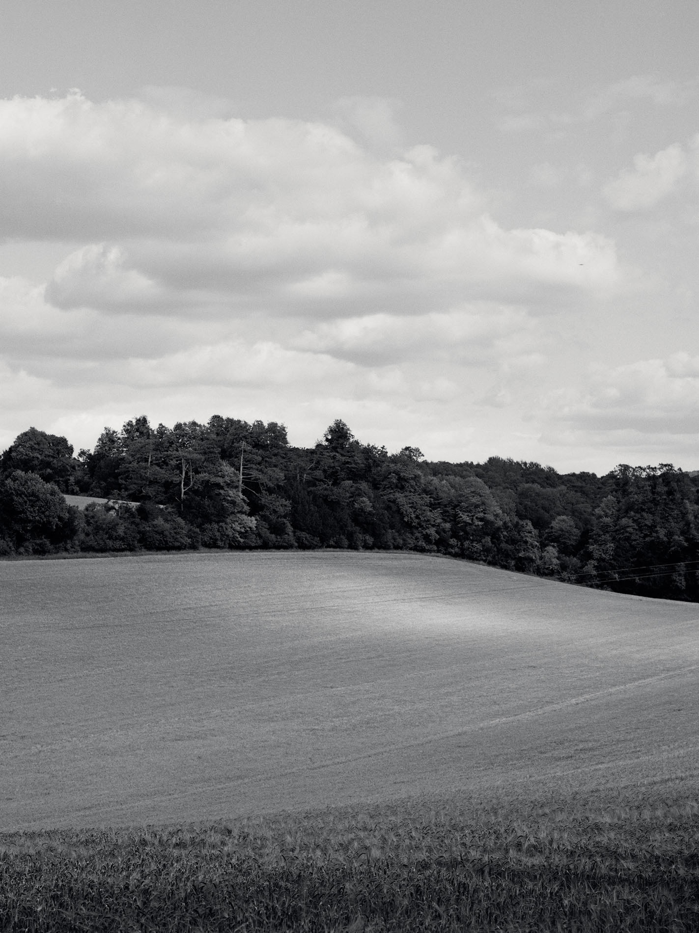 A PLATE THAT FEELS LIKE A PLACE I only ever wanted to live in nature I grew - photo 6