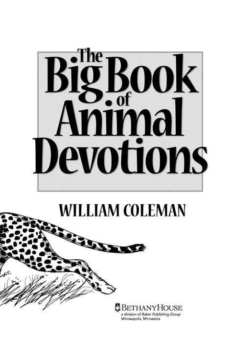 The Big Book of Animal Devotions Copyright 1979 1981 1985 1987 2001 2009 - photo 1