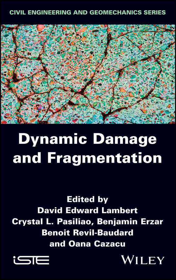 Series Editor Flix Darve Dynamic Damage and Fragmentation Edited by David - photo 1