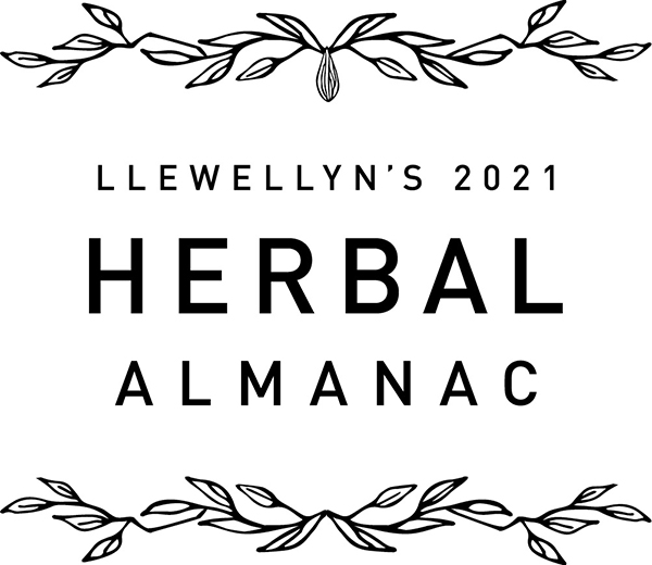 2020 Llewellyn Publications Llewellyn Publications is a registered trademark of - photo 2