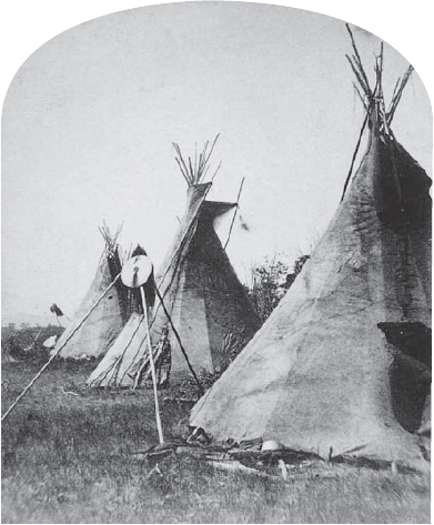 A row of Nez Perce tepees photographed near the Yellowstone River in 1871 Like - photo 4