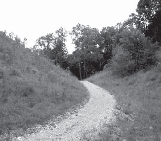 Trails to the Ohio River frontier passed through gaps in the western range of - photo 9