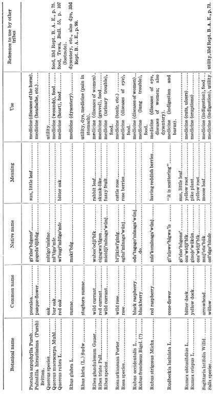 LIST OF PLANTS ARRANGED ACCORDING TO COMMON NAME - photo 8