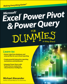 Alexander - Excel Power Pivot et Power Query for dummies