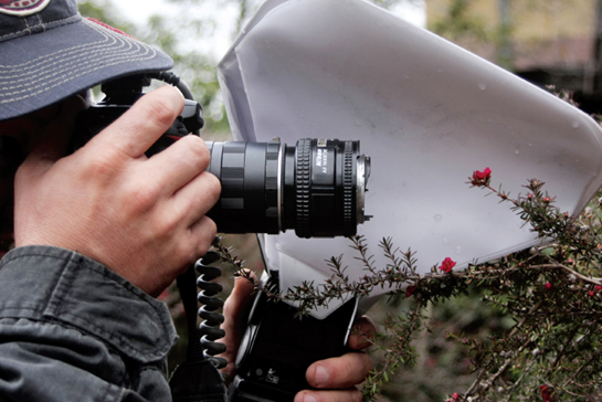 Here a photographer uses a modified off-camera flash three extension tubes - photo 3