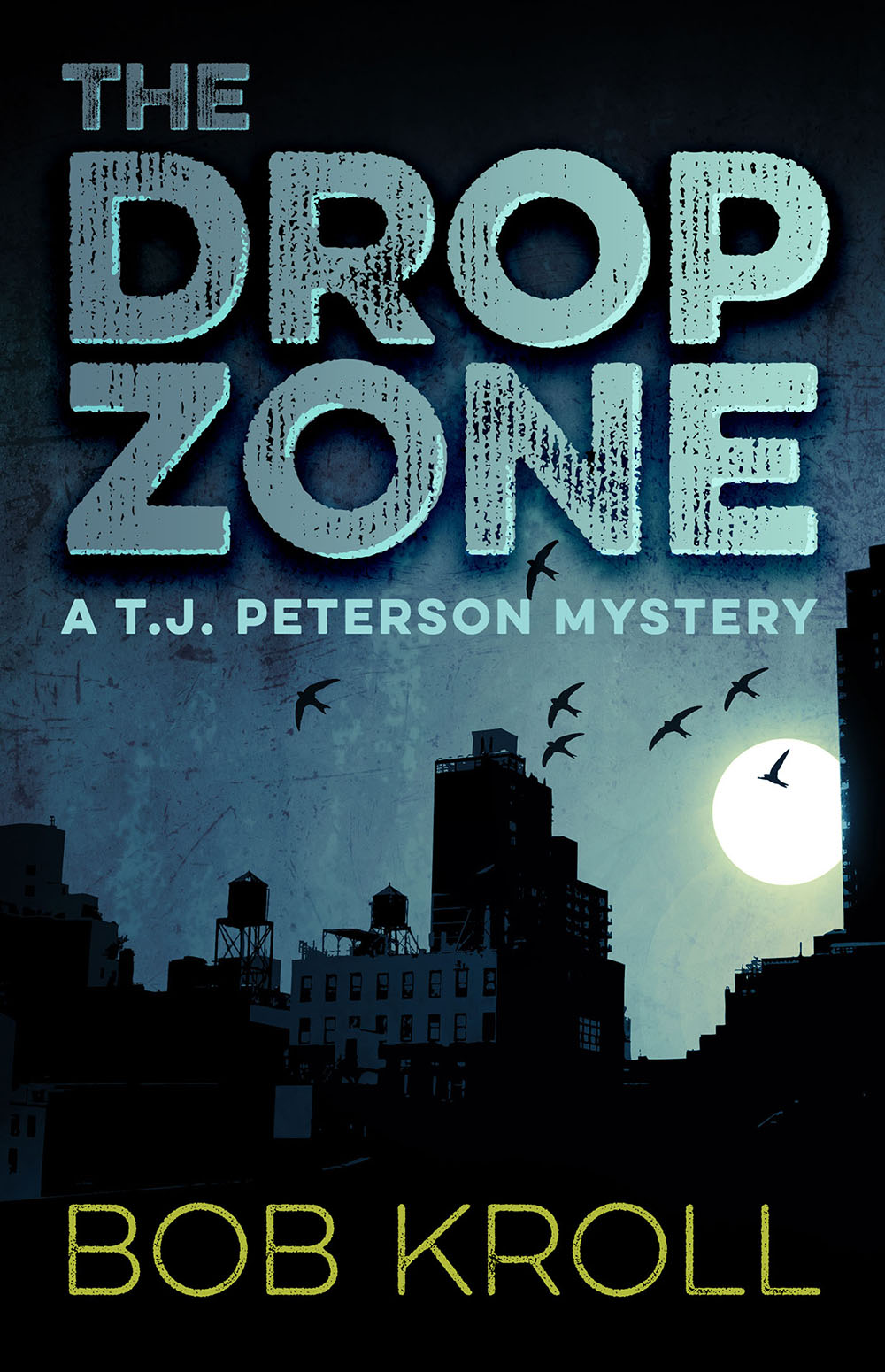 THE DROP ZONE 9781770907256 Detective TJ Peterson has a problem and its - photo 2