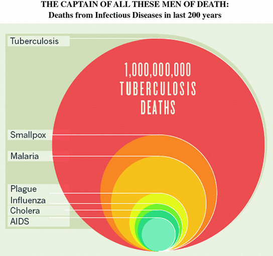 Fig 11 The burden of tuberculosis From Paulson T Nature 2013 Reprinted - photo 1