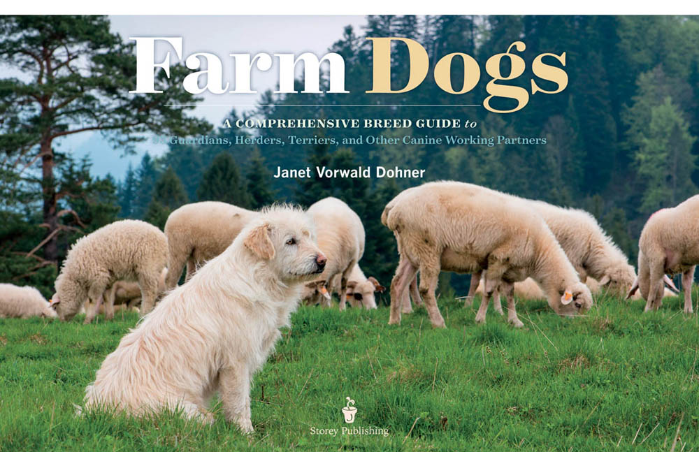 This book is dedicated to the owners and breeders who are committed to - photo 2