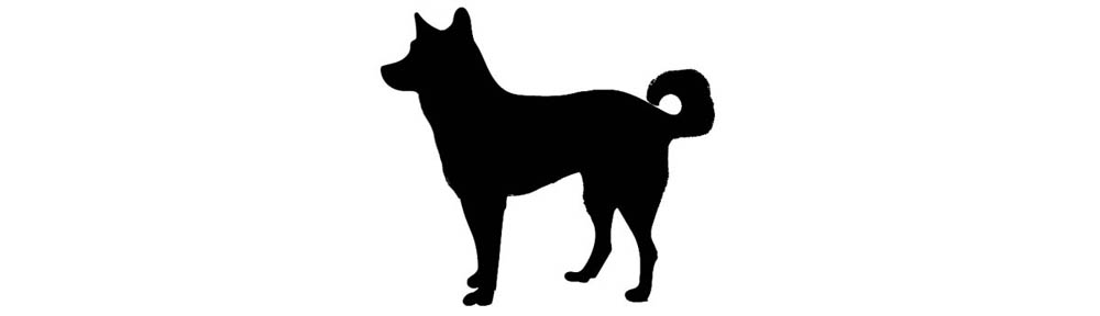 Speculations about the origins of the domestic dog Canis familiaris continue - photo 7