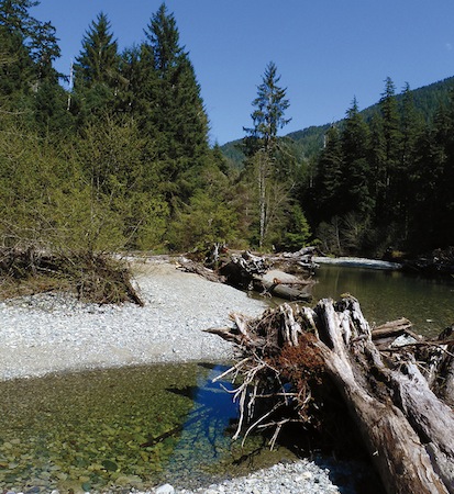 The startlingly clear water of Carmanah Creek with glimpses of the mountainside - photo 1