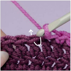 On a crocheted piece Insert hook under both loops of stitches on last row of - photo 6