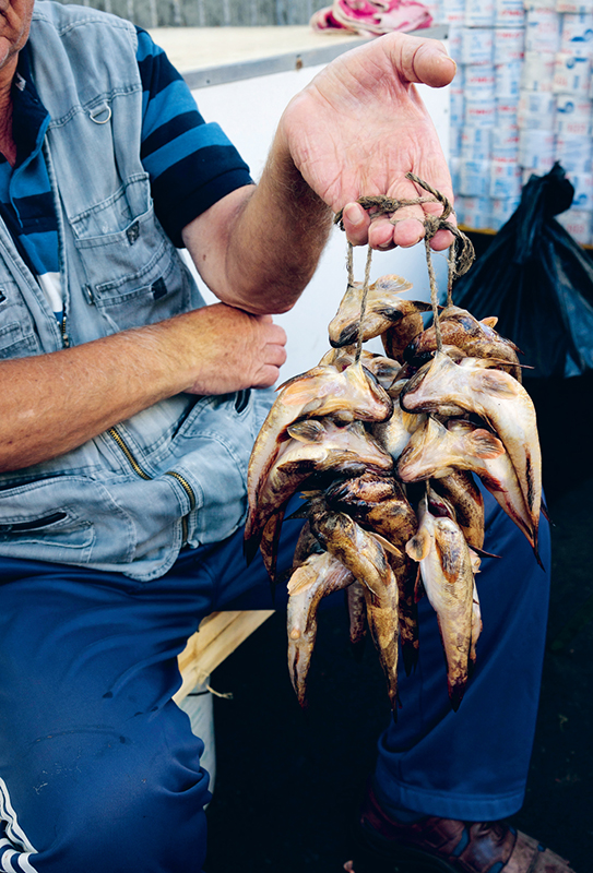 A SKETCH OF ODESSA STEVEDORES STOWAWAYS AND FABERG EGGS No city could match - photo 4