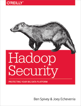 Echeverria Joey Hadoop security: [protecting your big data platform]