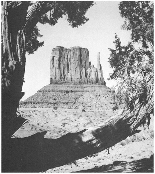 Page iii The Colorado Plateau A Geologic History Donald L Baars - photo 2